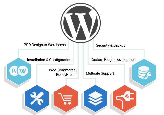 WordPress Experts